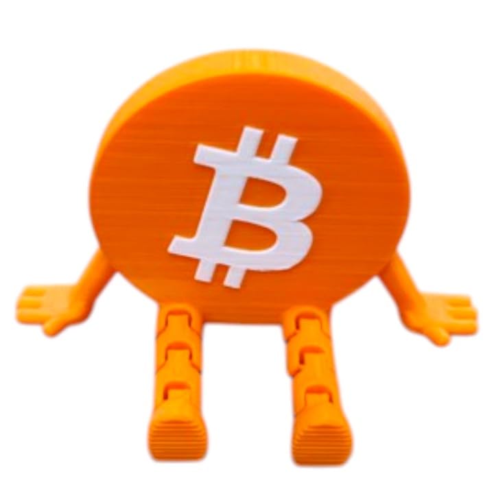 Articulated Bitcoin Buddy Figurine – 3D Printed Crypto Desk Toy with Poseable Limbs – Orange ₿ Bitcoin Collectible for Traders & Enthusiasts – 3D Printed in Canada