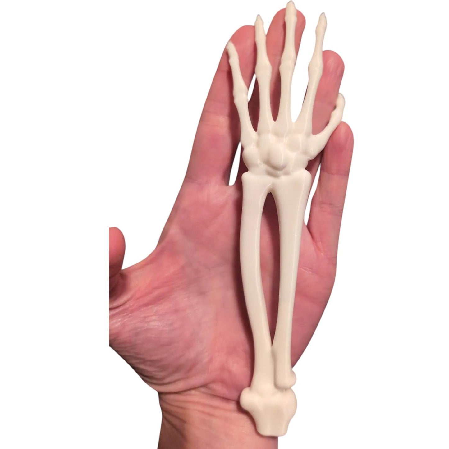 Anatomical Skeleton Arm & Hand Model – Life-Size Forearm Bones with Articulated Joints for Display, Education, or Halloween Props – 3D Printed in Canada