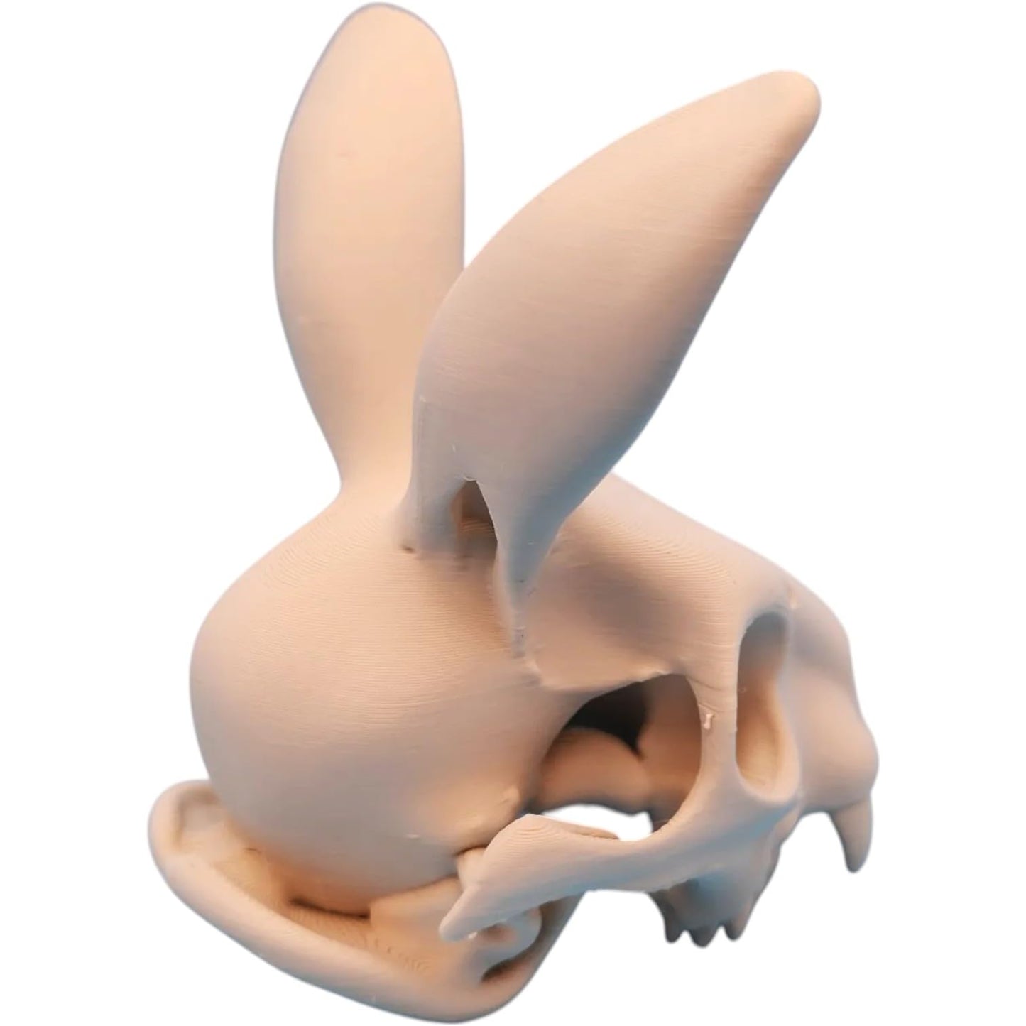 Rabbit Skull with Forward Ears – Creepy Bunny Skeleton Prop for Gothic Decor or Halloween Display – 3D Printed in Canada