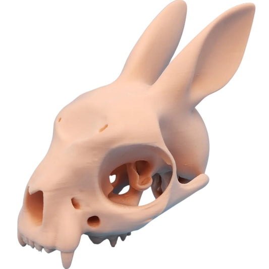 Bunny Skull Sculpture with Ears Back – Gothic Animal Anatomy Decor for Curio Shelf or Halloween Display – 3D Printed in Canada