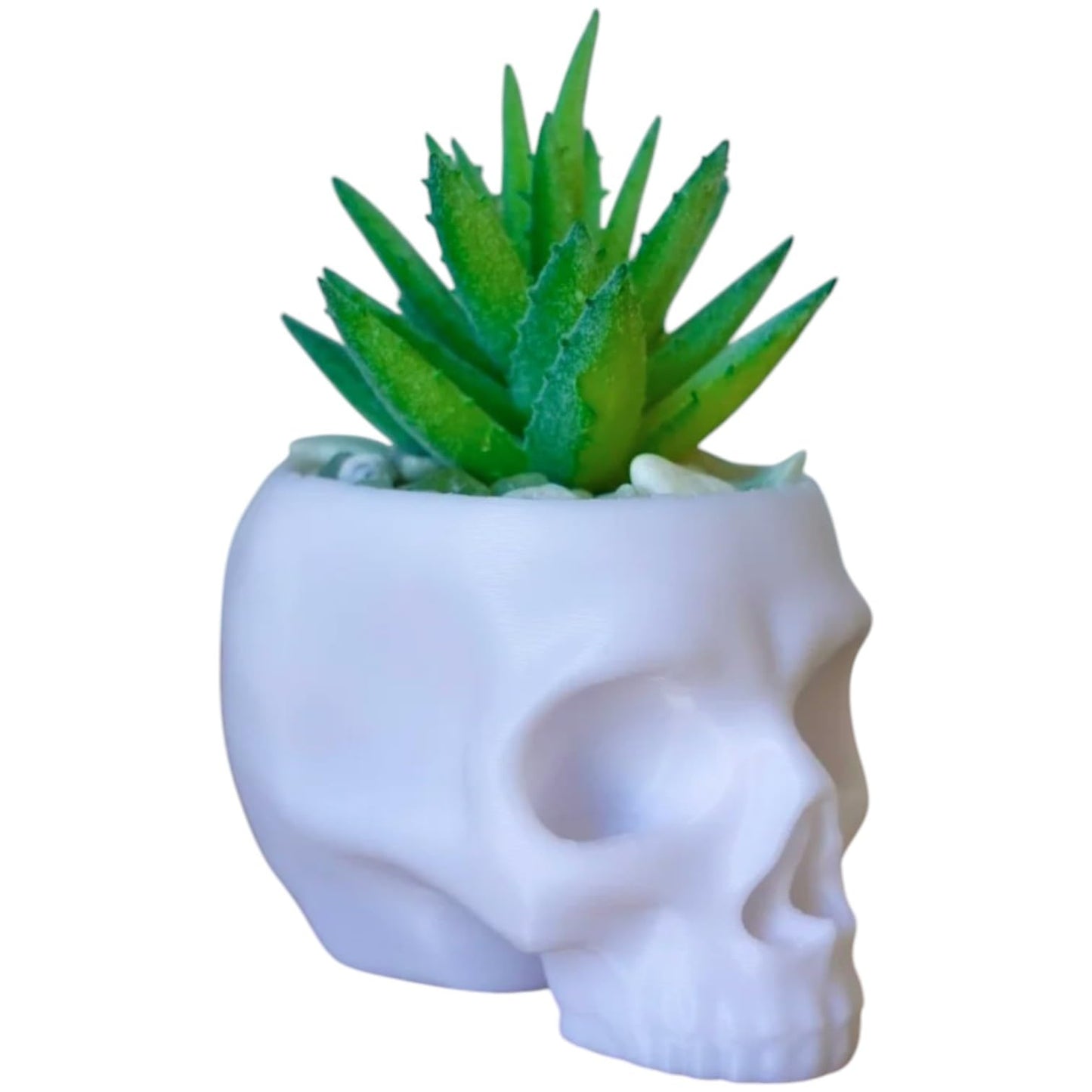 Skull Planter Pot for Succulents & Cacti – Minimalist White Head Planter for Gothic & Alternative Home Decor – 3D Printed in Canada