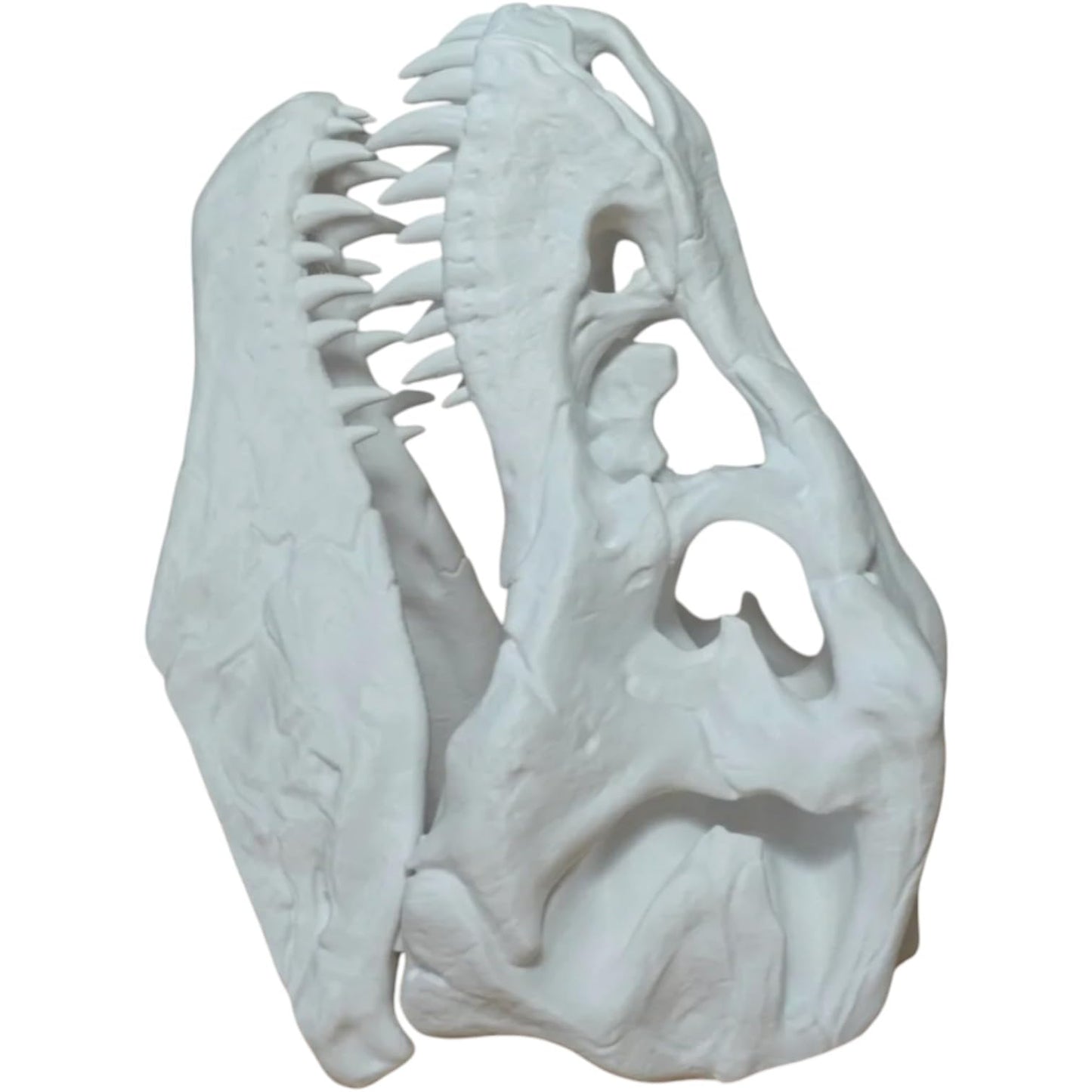 T-Rex Skull Replica – Realistic Dinosaur Fossil Model for Display, Education, and Collection – Large 3D Printed Jurassic Skull – 3D Printed in Canada