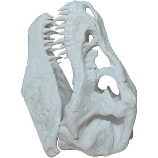 T-Rex Skull Replica – Realistic Dinosaur Fossil Model for Display, Education, and Collection – Large 3D Printed Jurassic Skull – 3D Printed in Canada