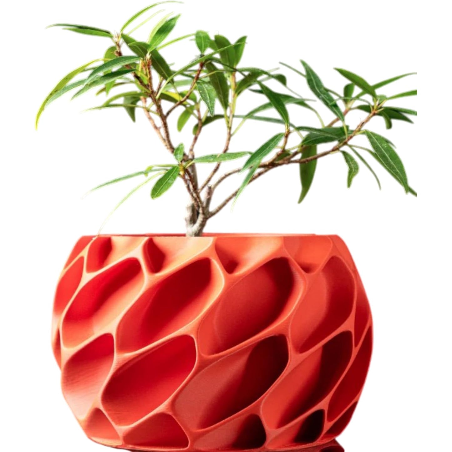 Bold Red Planter Pot with Organic Exo Shell Design – Sculptural Indoor Plant Container for Modern Décor & Succulents – 3D Printed in Canada