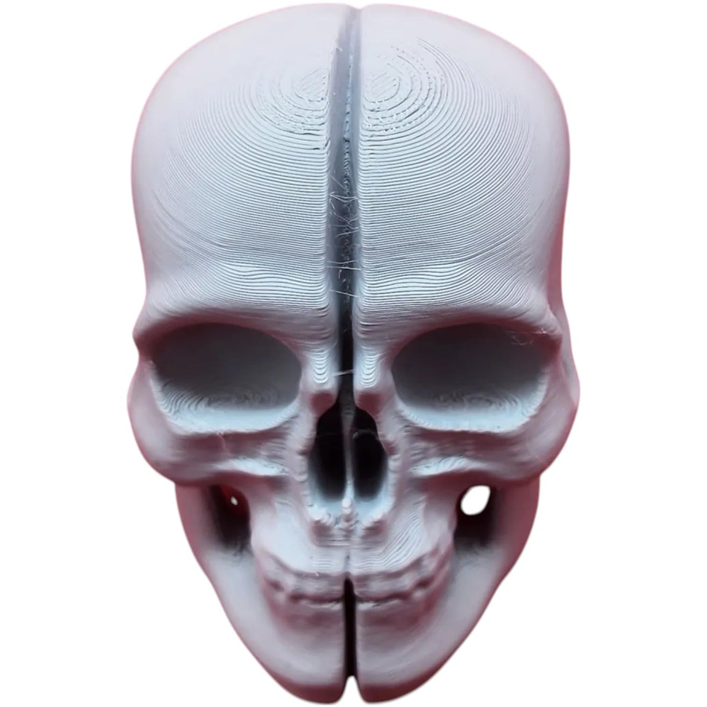 Split Skull Miniature – Anatomical Cranium Prop with Clean Bisection for Display, Dioramas & Gothic Decor – 3D Printed in Canada