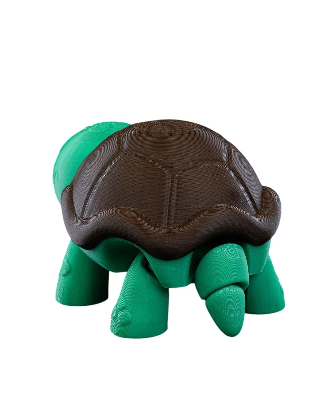 (Not) Surprised Turtle Figurine – Funny Desk Buddy, Fidget Collectible, and Giftable Décor – 3D Printed in Canada