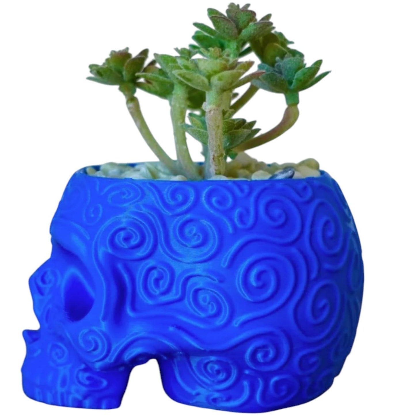 Sugar Skull Planter Pot with Embossed Swirl Texture – Gothic Decor for Succulents, Cacti & Small Plants – 3D Printed in Canada