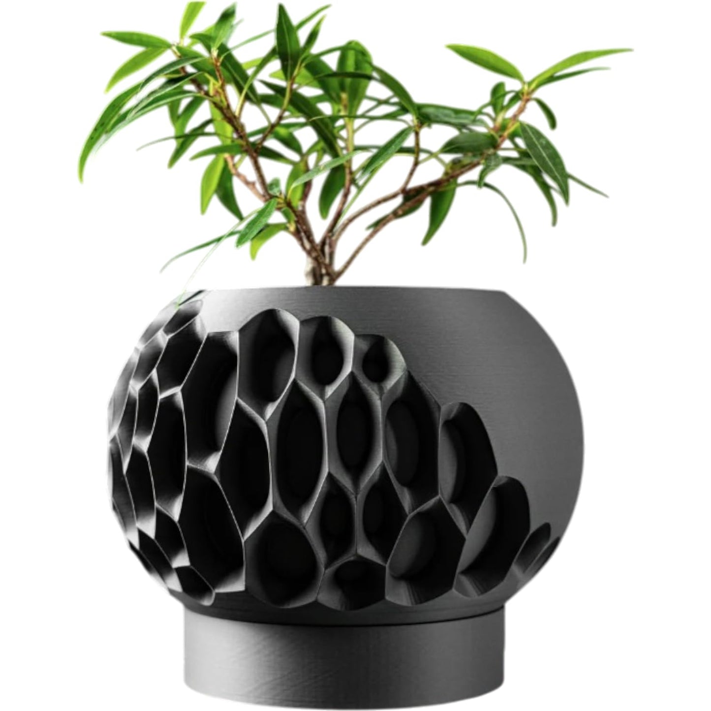Futuristic Biomorphic Planter Pot – Asymmetric Carved Texture for Indoor Plants & Modern Decor – 3D Printed in Canada