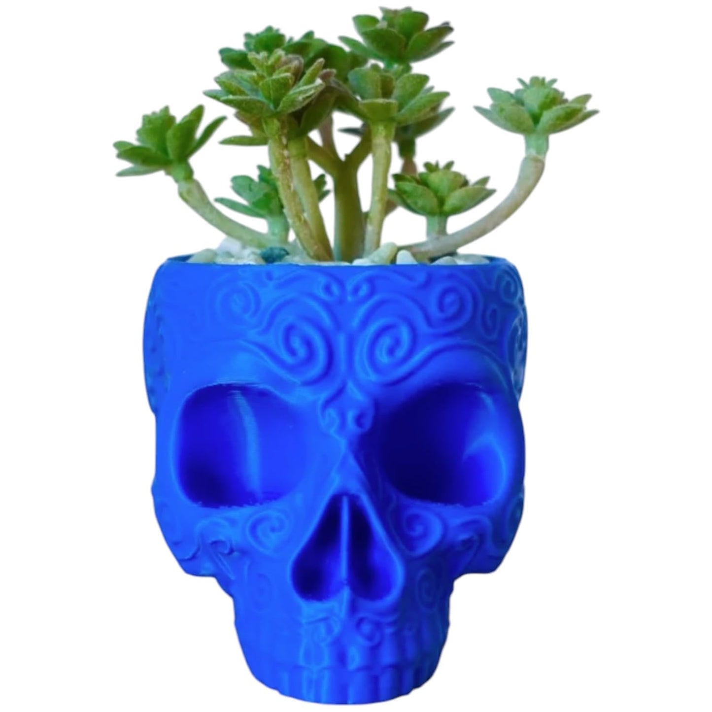 Sugar Skull Planter Pot with Embossed Swirl Texture – Gothic Decor for Succulents, Cacti & Small Plants – 3D Printed in Canada