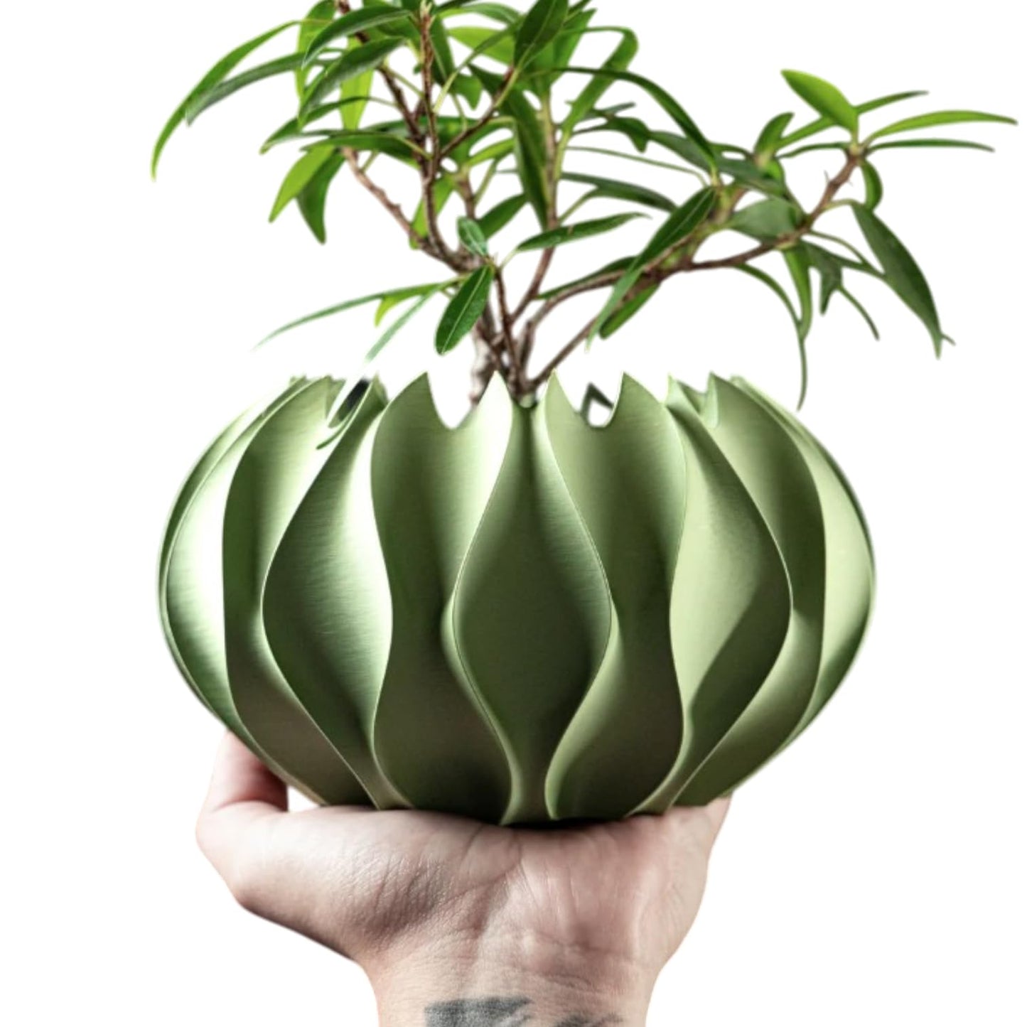 Swirled Wave Planter Pot – Sculpted Modern Indoor Plant Container for Succulents & Home Decor – 3D Printed in Canada