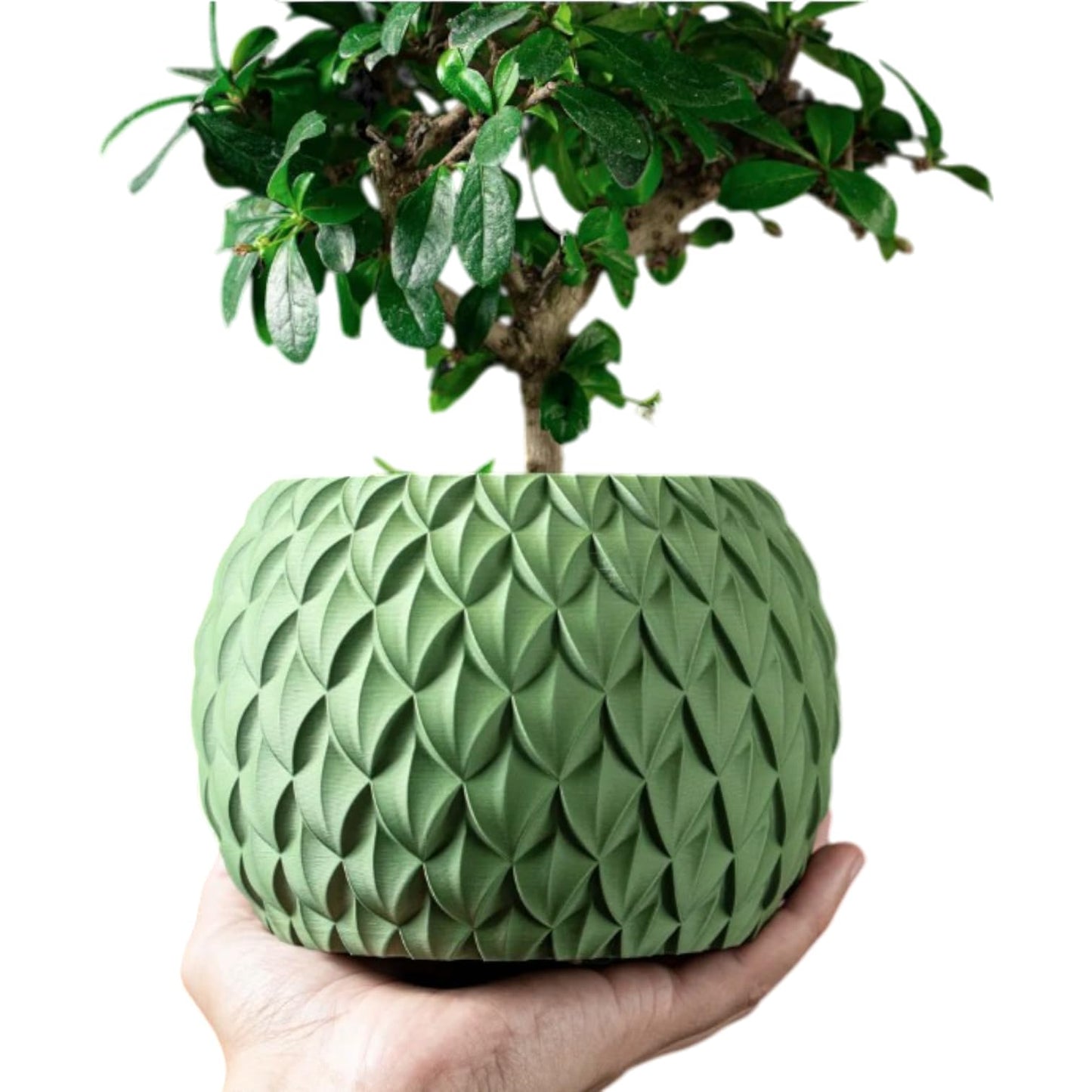 Scale Planter Pot – Textured Decorative Pot for Succulents, Bonsai, or Faux Plants – Modern Organic Indoor Planter with Leaf-Scale Pattern – 3D Printed in Canada