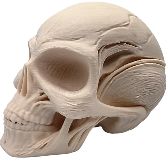 Hybrid Skull Figurine – Human-Alien Style Sculpture for Sci-Fi Decor, Cryptid Collectibles, or Gothic Shelf Display – 3D Printed in Canada