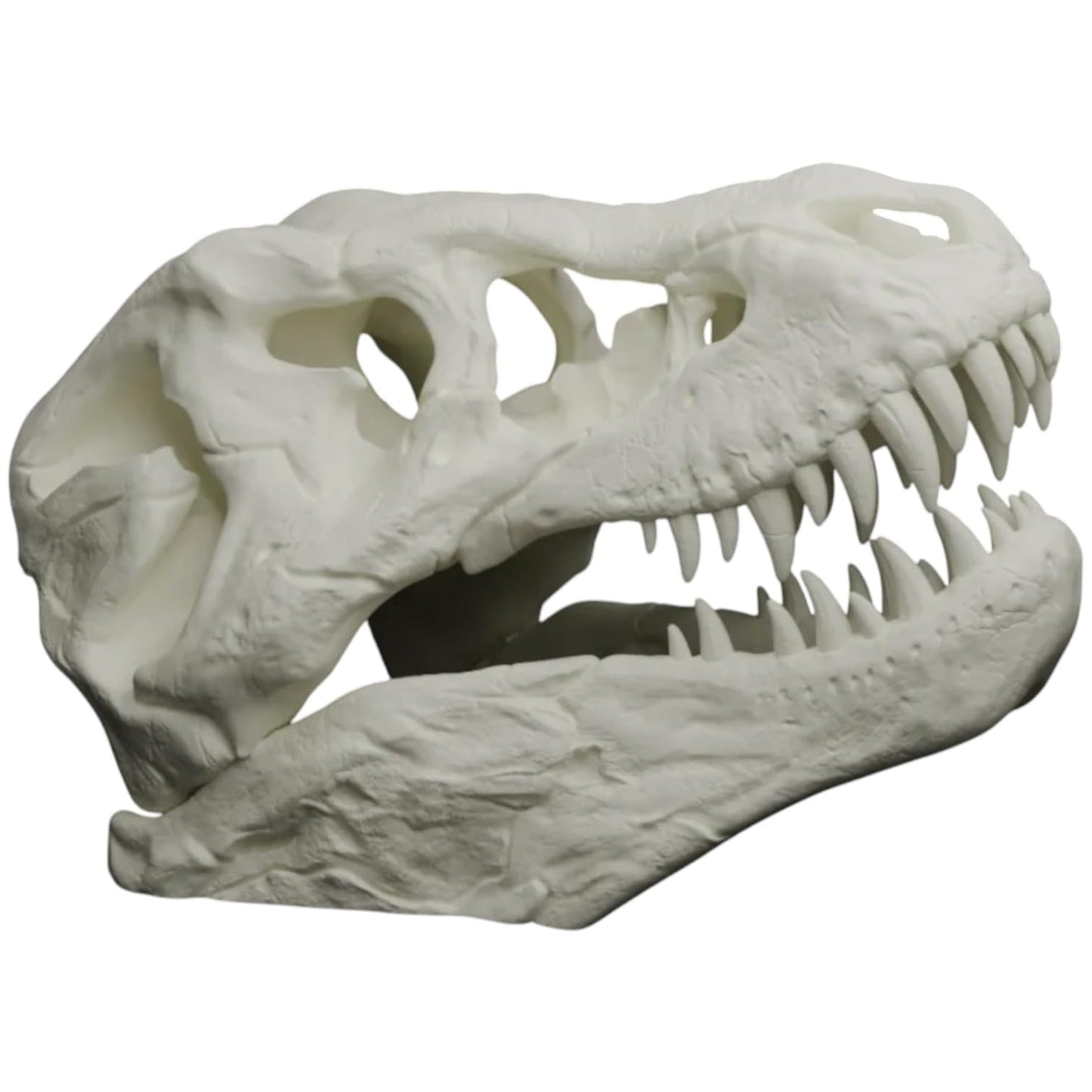 T-Rex Skull Replica – Realistic Dinosaur Fossil Model for Display, Education, and Collection – Large 3D Printed Jurassic Skull – 3D Printed in Canada