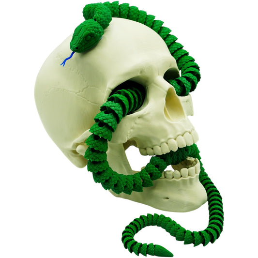 Realistic Skull with Coiled Rattlesnake Statue – Creepy Snake Wrapped Through Skull for Gothic Desk Decor, Halloween Display, or Collector Shelf – 3D Printed in Canada