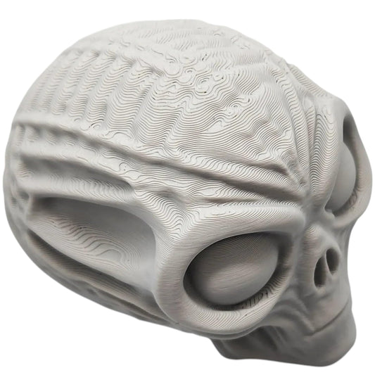 Mummified Alien Skull Miniature – Sci-Fi Horror Display Prop with Anatomical Detail for Dioramas, Halloween & Tabletop Terrain – 3D Printed in Canada