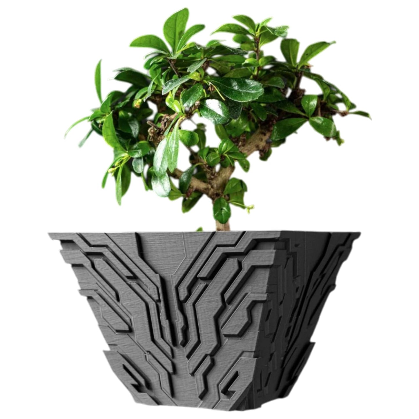 Uplink Planter Pot – Futuristic Circuitry Patterned Pot for Bonsai, Succulents, or Faux Plants – Sci-Fi Inspired Decorative Indoor Planter – 3D Printed in Canada