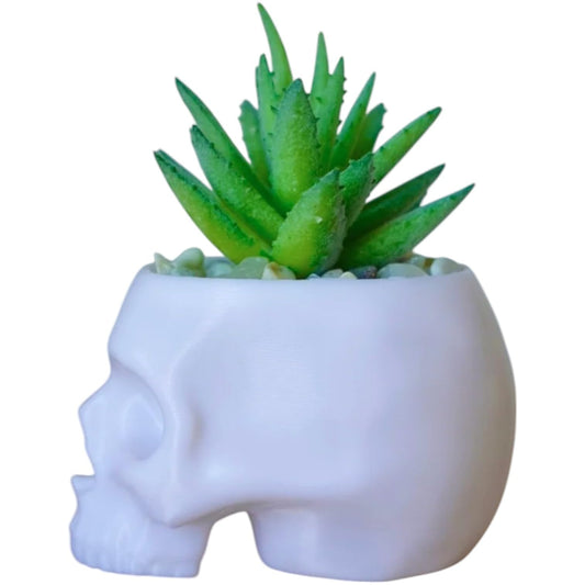 Skull Planter Pot for Succulents & Cacti – Minimalist White Head Planter for Gothic & Alternative Home Decor – 3D Printed in Canada