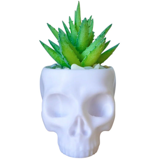 Skull Planter Pot for Succulents & Cacti – Minimalist White Head Planter for Gothic & Alternative Home Decor – 3D Printed in Canada