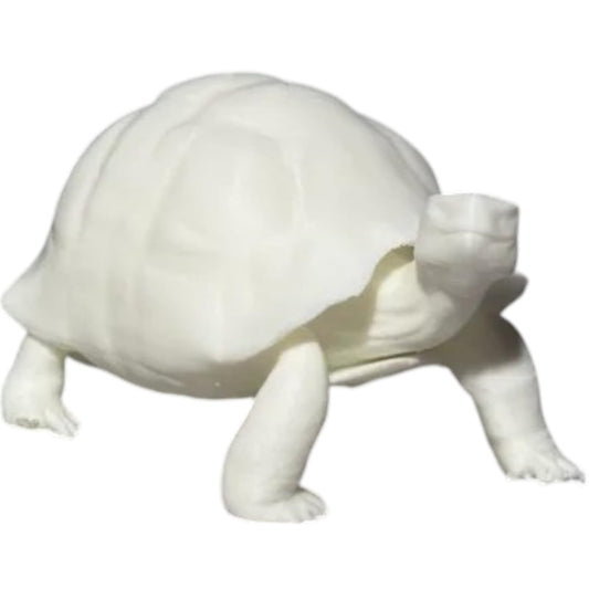 Realistic Turtle Figurine – Detailed 3D Printed Tortoise Model for Shelf Display, Desk Décor, or Collector’s Showcase – 3D Printed in Canada
