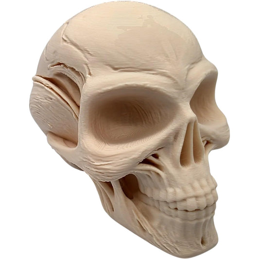Hybrid Skull Figurine – Human-Alien Style Sculpture for Sci-Fi Decor, Cryptid Collectibles, or Gothic Shelf Display – 3D Printed in Canada