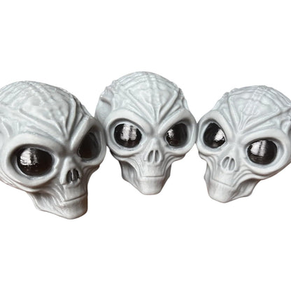Mummified Alien Skull Miniature – Sci-Fi Horror Display Prop with Anatomical Detail for Dioramas, Halloween & Tabletop Terrain – 3D Printed in Canada
