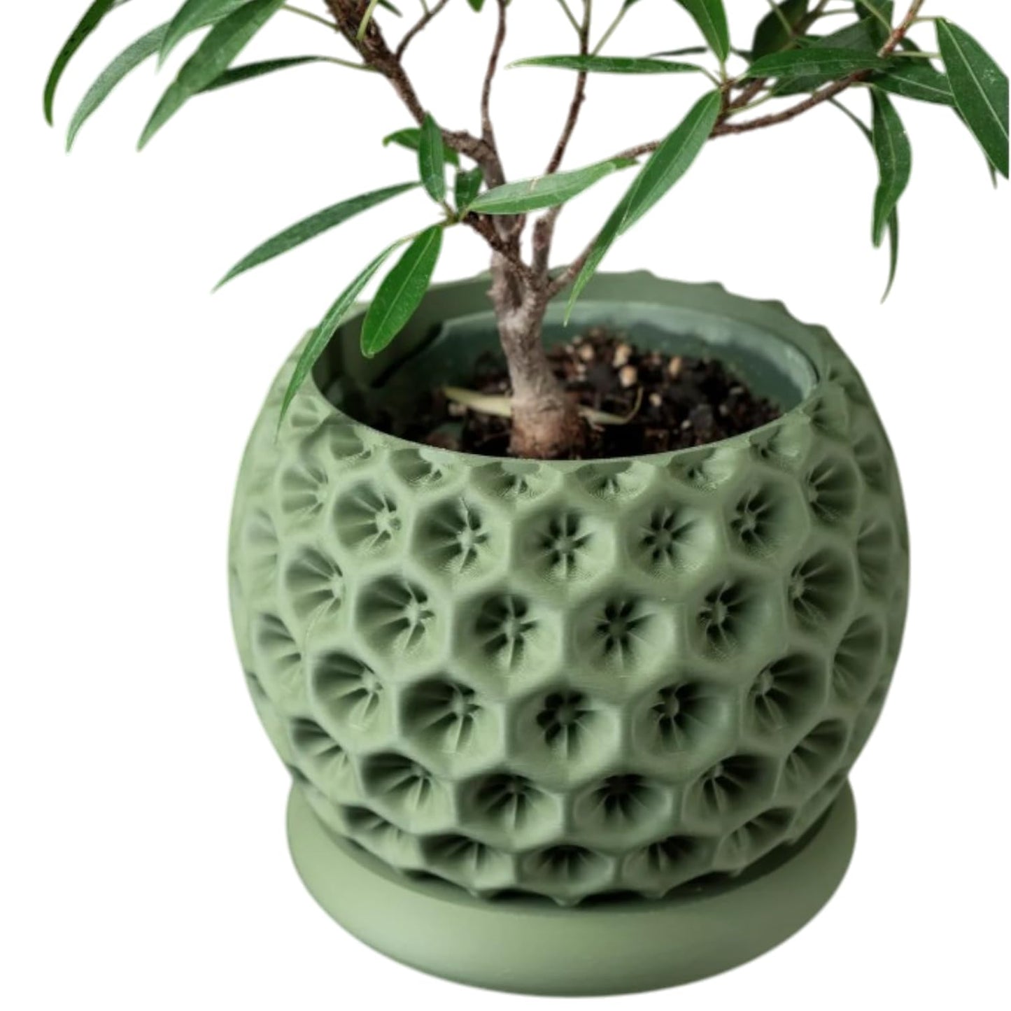 Sculpted Planter Pot with Starburst Texture – Modern Indoor Plant Container with Matching Saucer – 3D Printed in Canada
