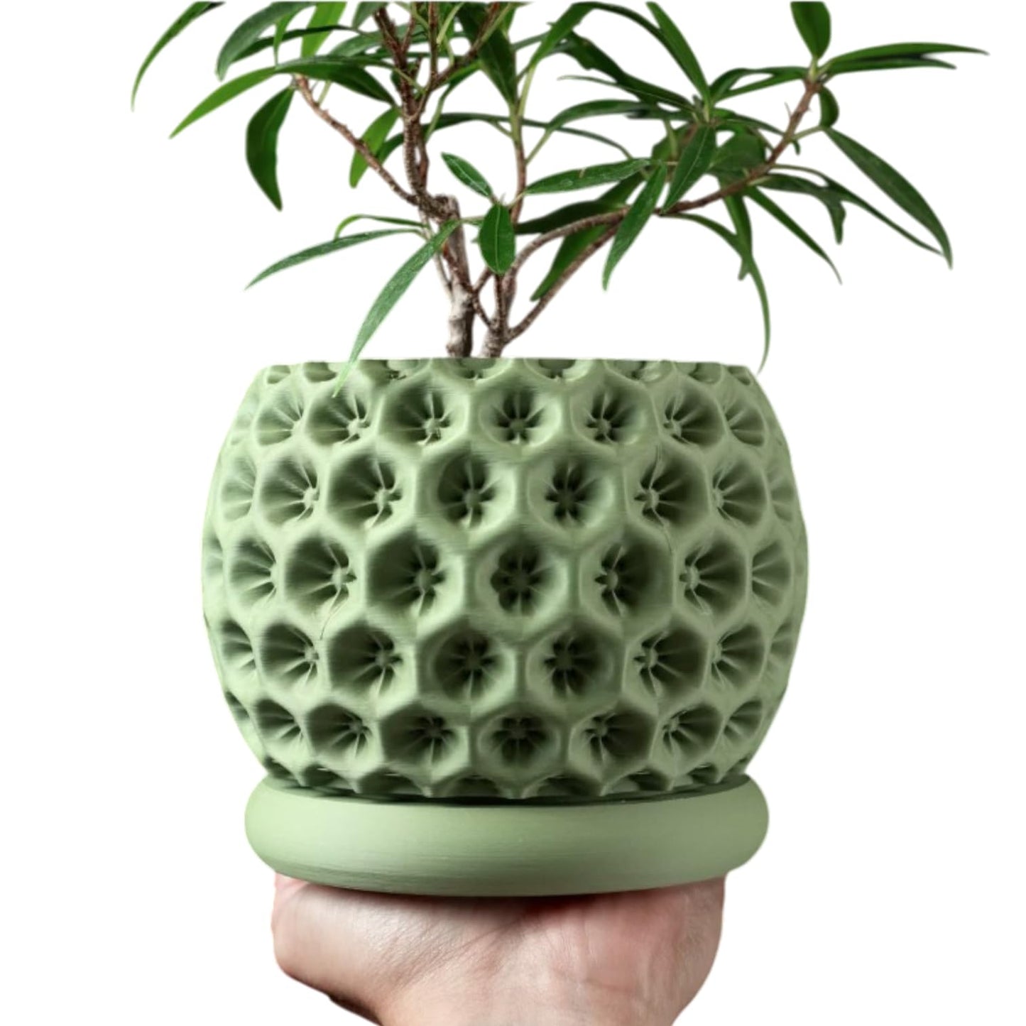 Sculpted Planter Pot with Starburst Texture – Modern Indoor Plant Container with Matching Saucer – 3D Printed in Canada