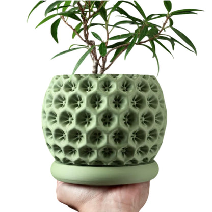 Sculpted Planter Pot with Starburst Texture – Modern Indoor Plant Container with Matching Saucer – 3D Printed in Canada