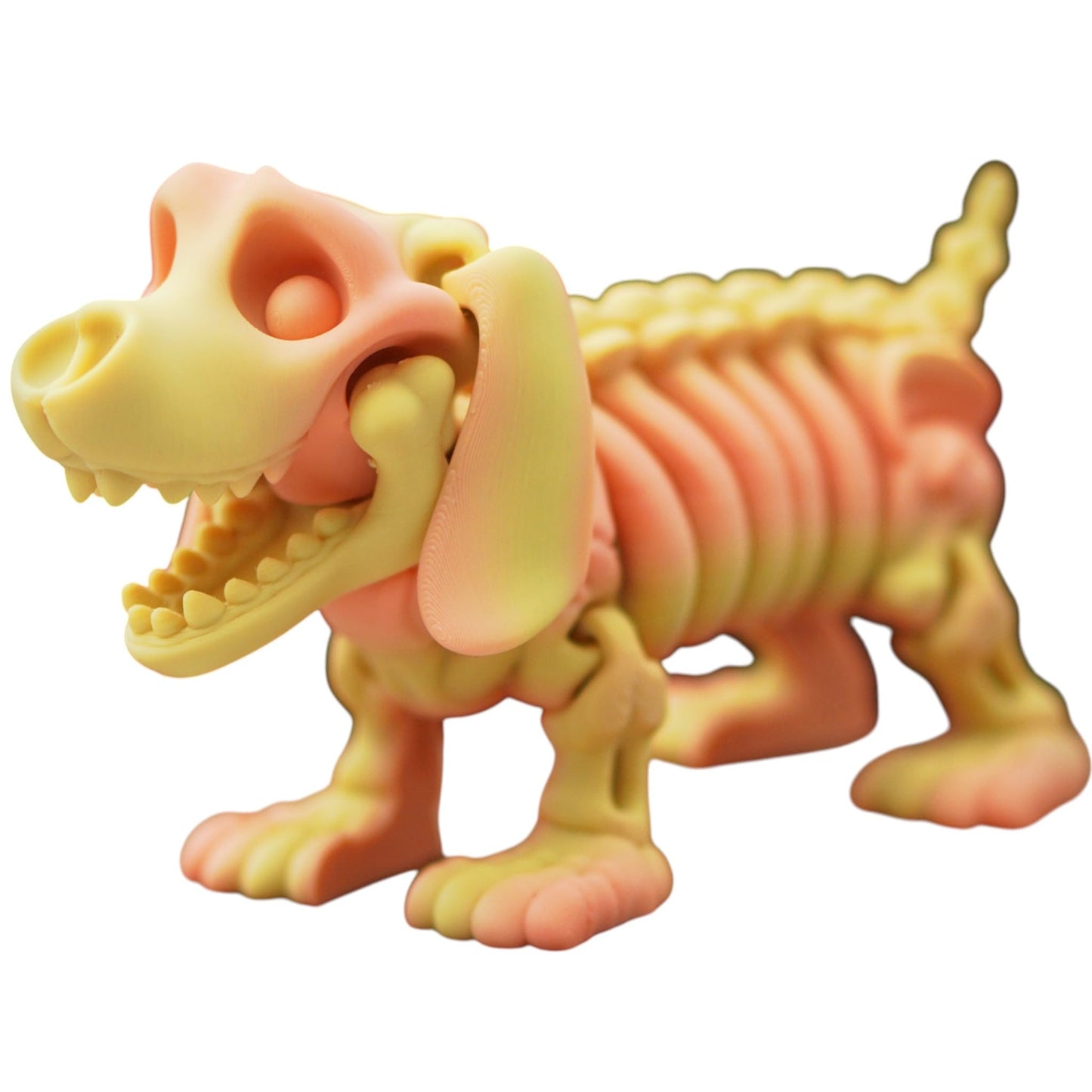 Articulated Skeleton Dachshund Figurine – Spooky Dog Desk Toy, Halloween Decor, Posable Bone Pup Fidget Collectible – Print-in-Place – 3D Printed in Canada