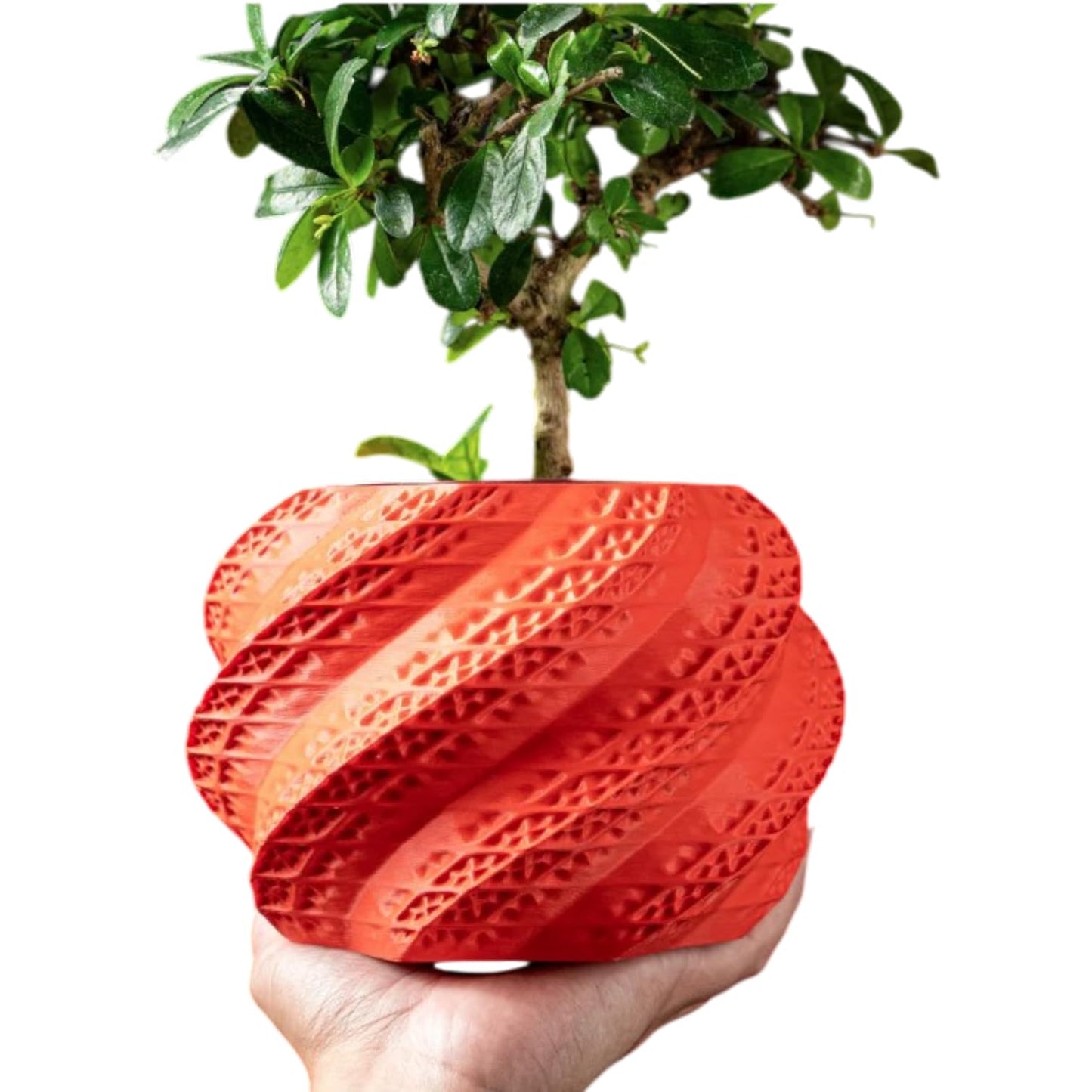 Shell Planter Pot – Spiral Textured Decorative Pot for Succulents, Bonsai, or Faux Plants – Coral-Red Modern Indoor Planter with Organic Shell Design – 3D Printed in Canada