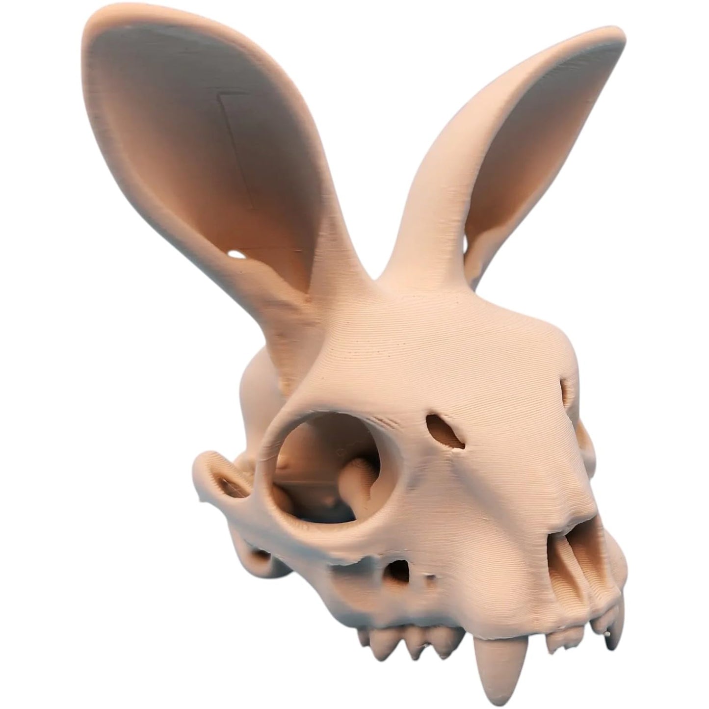Rabbit Skull with Forward Ears – Creepy Bunny Skeleton Prop for Gothic Decor or Halloween Display – 3D Printed in Canada