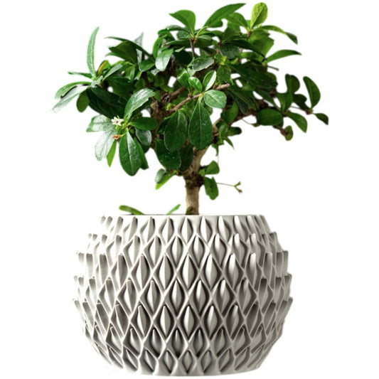 Petal Planter Pot – Decorative Geometric Plant Container for Succulents, Bonsai or Faux Greenery – Modern Textured Indoor Pot with Organic Pattern – 3D Printed in Canada