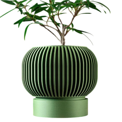 Modern Green Planter Pot with Vertical Ribbed Texture & Matching Base – Sculptural Indoor Container for Succulents & Houseplants – 3D Printed in Canada