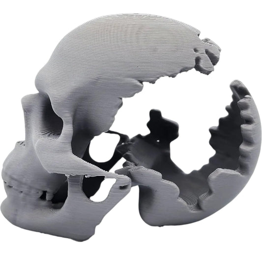 Gouged-Out Skull Miniature – Horror-Themed Cracked Skull Terrain Prop for Tabletop RPGs, Dioramas & Gothic Displays – 3D Printed in Canada