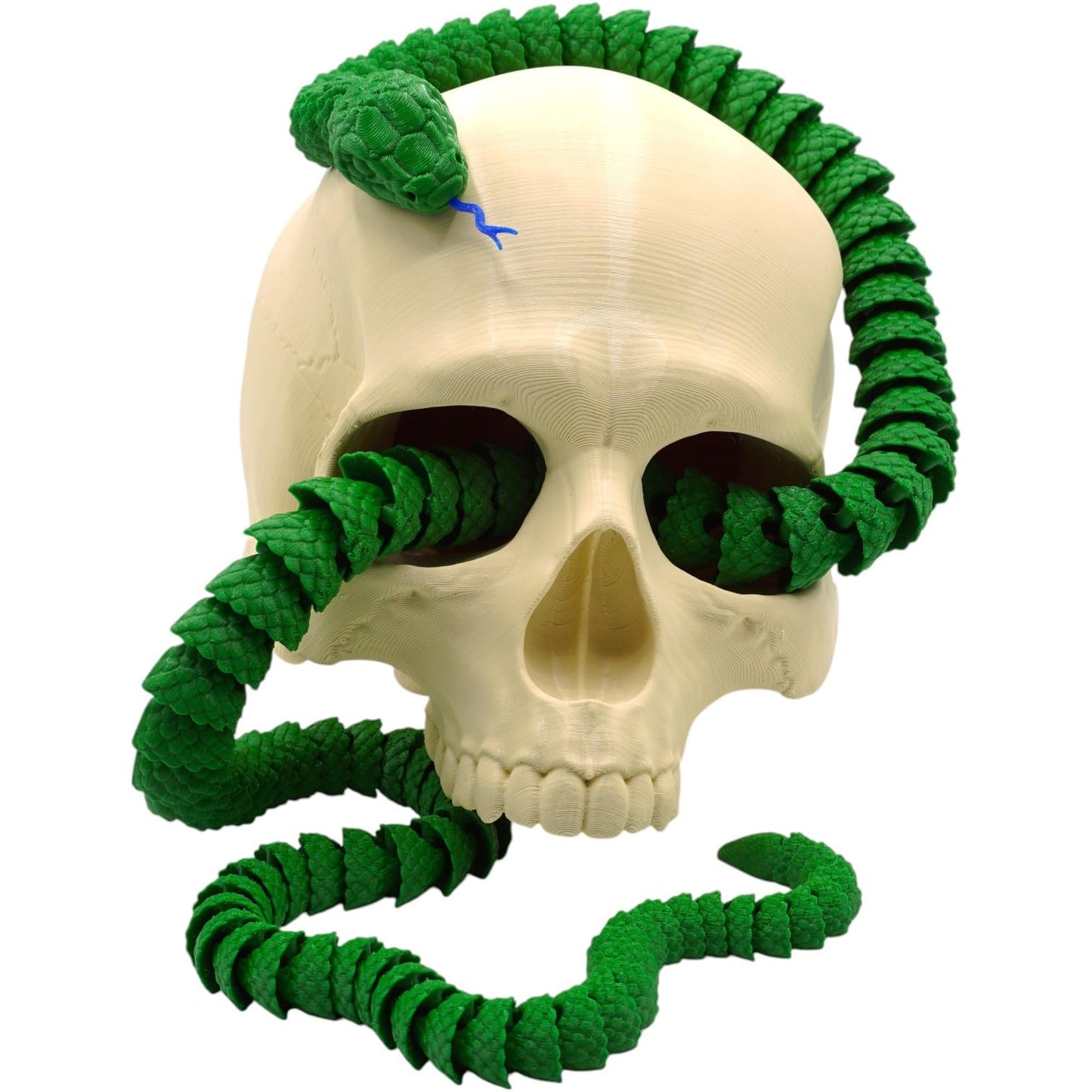 Realistic Skull with Coiled Rattlesnake Statue – Creepy Snake Wrapped Through Skull for Gothic Desk Decor, Halloween Display, or Collector Shelf – 3D Printed in Canada