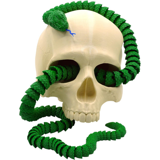 Realistic Skull with Coiled Rattlesnake Statue – Creepy Snake Wrapped Through Skull for Gothic Desk Decor, Halloween Display, or Collector Shelf – 3D Printed in Canada