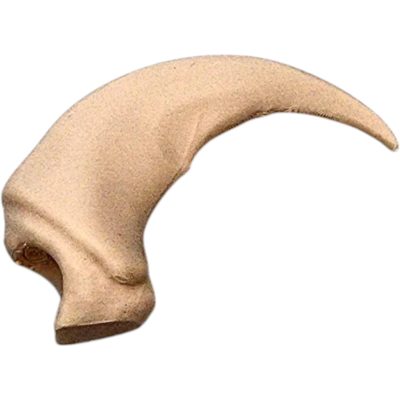 Grizzly Bear Claw Replica – Realistic-Style Fossil Model for Nature Displays, Costumes & Educational Props – 3D Printed in Canada — 3D Printed Collectible by 3DCentral