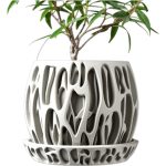 Organic Flow Planter Pot with Matching Saucer
