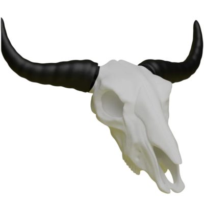 Bull Skull Wall Decor – Western Longhorn Style Faux Bone Head with Black Horns – Gothic or Ranch-Inspired Art – 3D Printed in Canada — 3D Printed Collectible by 3DCentral