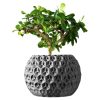 Trihex Planter Pot – Geometric Honeycomb-Textured Pot for Succulents, Bonsai, or Decorative Greenery – Modern Faceted Indoor Planter – 3D Printed in Canada — 3D Printed Collectible by 3DCentral
