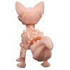 Skeleton Fox Figurine – Articulated Animal Skeleton Toy for Teens & Adults – Creepy Cute Desktop Collectible & Display Piece – 3D Printed in Canada — 3D Printed Collectible by 3DCentral