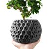 Trihex Planter Pot – Geometric Honeycomb-Textured Pot for Succulents, Bonsai, or Decorative Greenery – Modern Faceted Indoor Planter – 3D Printed in Canada — 3D Printed Collectible by 3DCentral