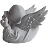 Haunted Angel Duck Figurine – Gothic Duck for 4x4 Dashboard & Cruise Ship Hiding – Spooky Collectible Duck Ornament Home Decor Gift Canada – 3D Printed in Canada — 3D Printed Collectible by 3DCentral