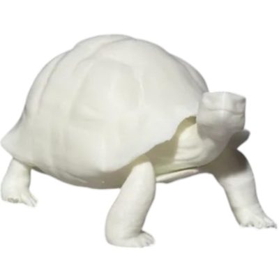 Realistic Turtle Figurine – Detailed 3D Printed Tortoise Model for Shelf Display, Desk Décor, or Collector’s Showcase – 3D Printed in Canada — 3D Printed Collectible by 3DCentral