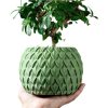 Scale Planter Pot – Textured Decorative Pot for Succulents, Bonsai, or Faux Plants – Modern Organic Indoor Planter with Leaf-Scale Pattern – 3D Printed in Canada — 3D Printed Collectible by 3DCentral