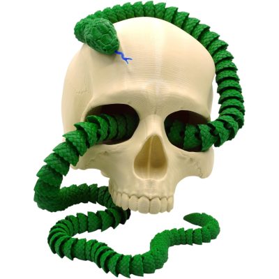 Realistic Skull with Coiled Rattlesnake Statue – Creepy Snake Wrapped Through Skull for Gothic Desk Decor, Halloween Display, or Collector Shelf – 3D Printed in Canada — 3D Printed Collectible by 3DCentral