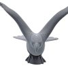 Falcon Preflight Check Figurine – Majestic Bird of Prey Sculpture with Outstretched Wings – 3D Printed in Canada — 3D Printed Collectible by 3DCentral