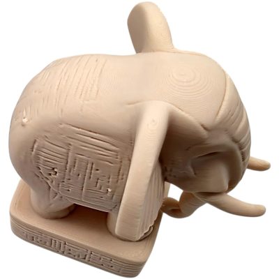 Ivory Carved-Style Elephant Figurine – 3D Printed Symbolic Animal Sculpture for Shelf Decor, Luck & Meditation Spaces – 3D Printed in Canada — 3D Printed Collectible by 3DCentral