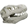 T-Rex Skull Replica – Realistic Dinosaur Fossil Model for Display, Education, and Collection – Large 3D Printed Jurassic Skull – 3D Printed in Canada — 3D Printed Collectible by 3DCentral