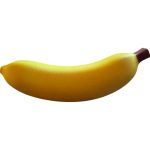 Banana for Scale – Life-Sized Realistic Display Prop